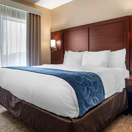 Comfort Suites Pell City I-20 Exit 158 Екстер'єр фото