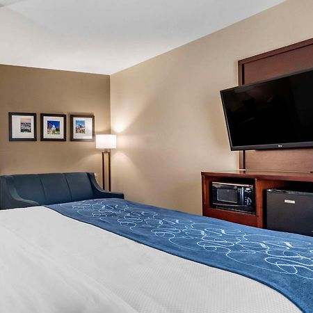 Comfort Suites Pell City I-20 Exit 158 Екстер'єр фото