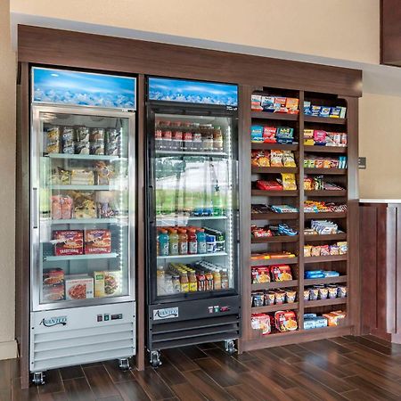 Comfort Suites Pell City I-20 Exit 158 Екстер'єр фото