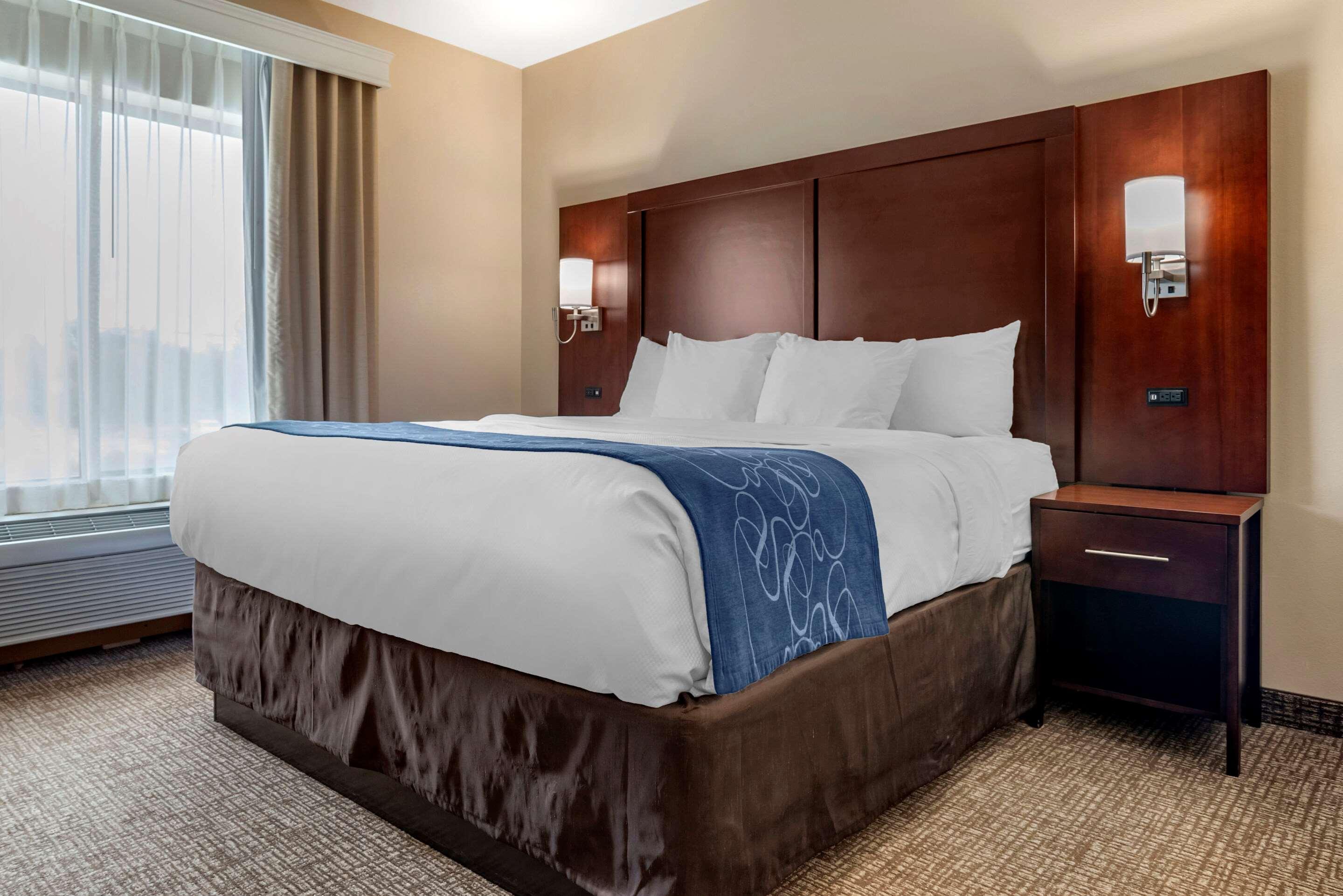 Comfort Suites Pell City I-20 Exit 158 Екстер'єр фото
