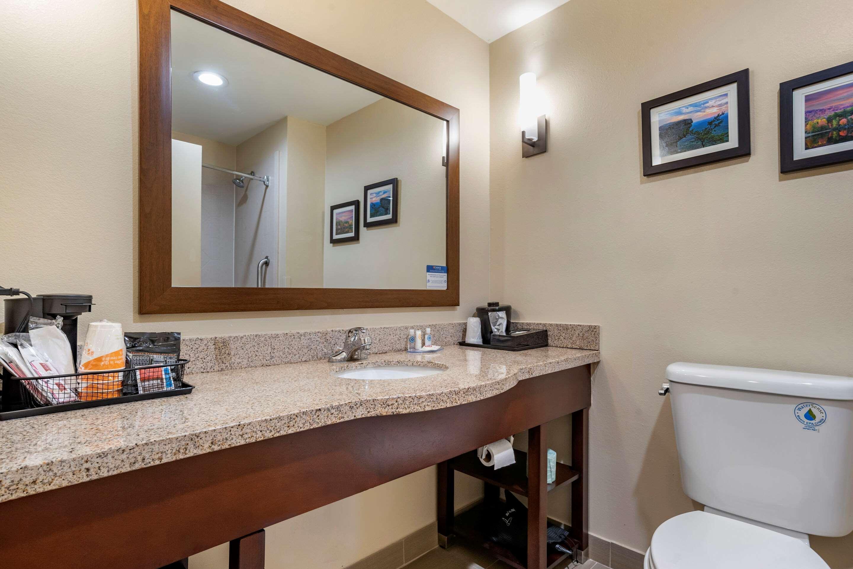 Comfort Suites Pell City I-20 Exit 158 Екстер'єр фото