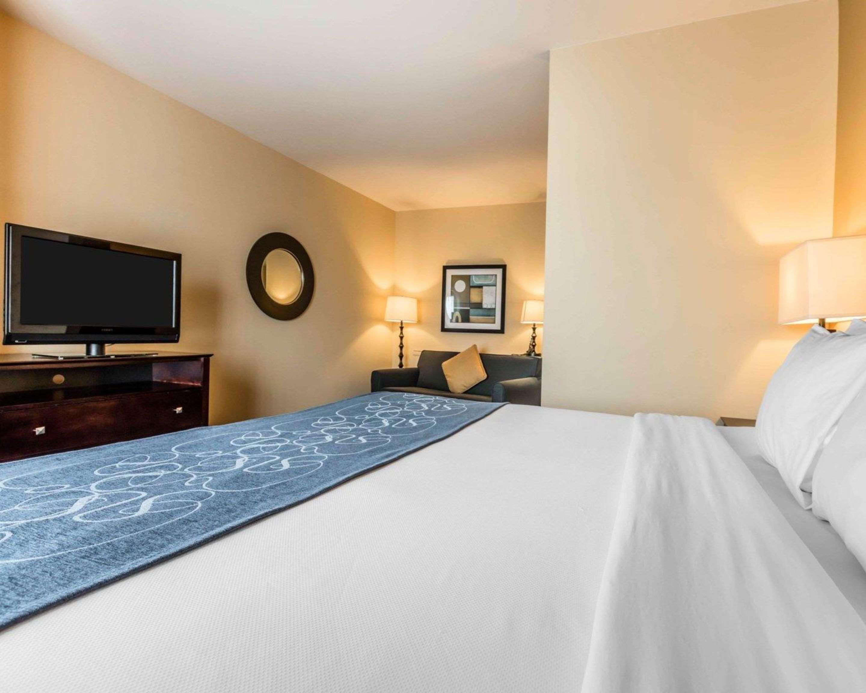 Comfort Suites Pell City I-20 Exit 158 Екстер'єр фото