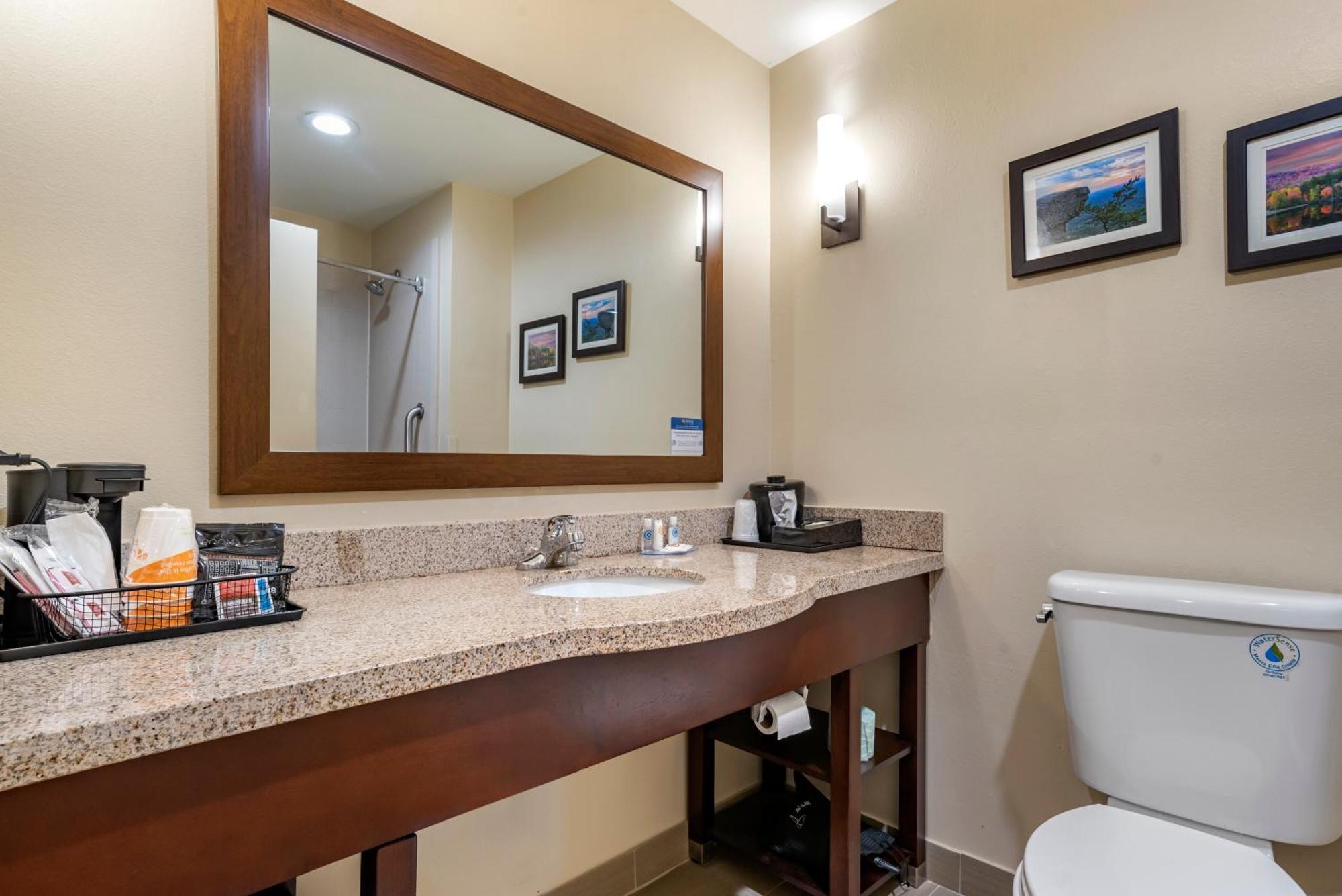 Comfort Suites Pell City I-20 Exit 158 Екстер'єр фото
